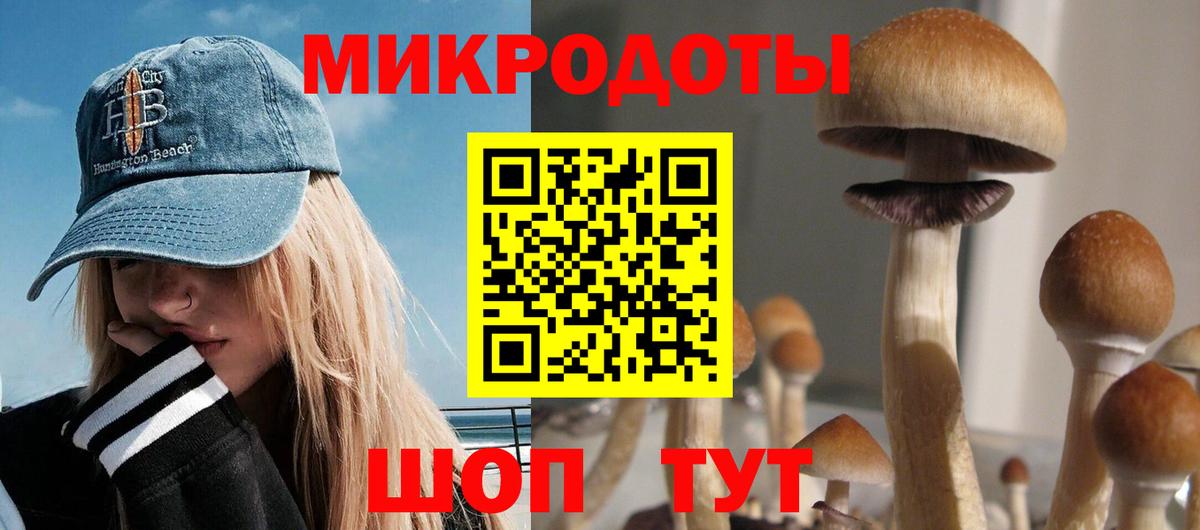 Ливны  Псилоцибиновые грибы GOLDEN TEACHER  Вход с VPN 